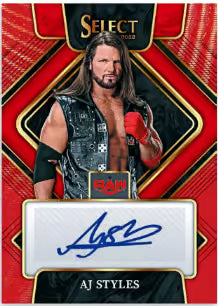 Panini Select WWE Wrestling International Hobby Box 2024