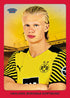 Topps Borussia Dortmund Team Set 2024/25